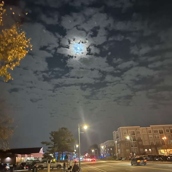 Meet your Posher, Briley - Picture 1 of 1